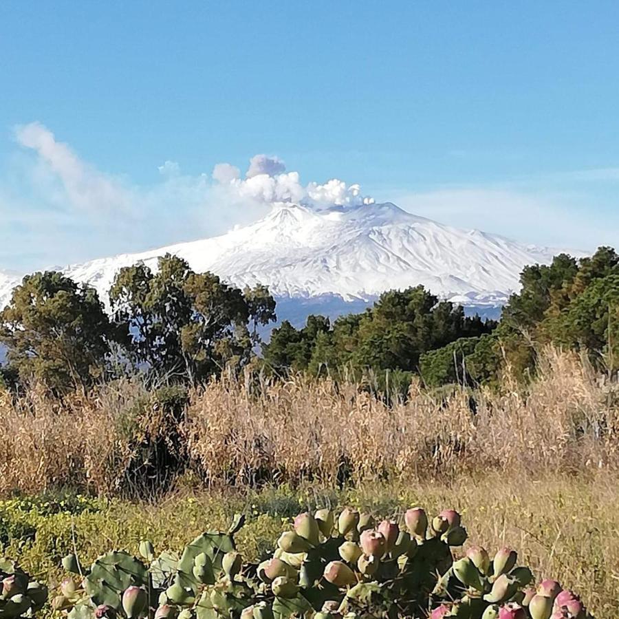 Apartamento Casa Donna Rosaria Tra Etna E Taormina Riposto Exterior foto